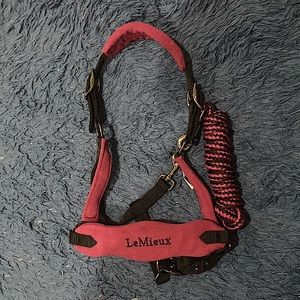 This is a brand new Lemieux Vogue Halter in the color of plum.